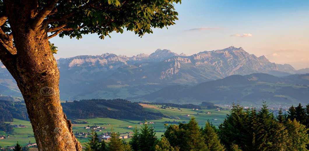 Appenzeller Land, Silvretta & Bregenzer Wald